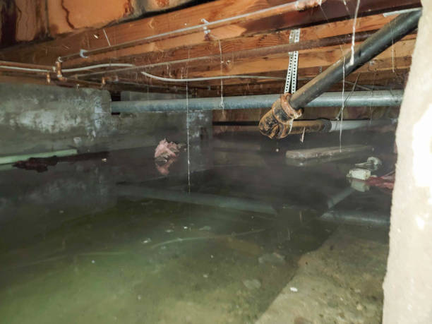 Best Local water damage restoration  in Granville South, OH