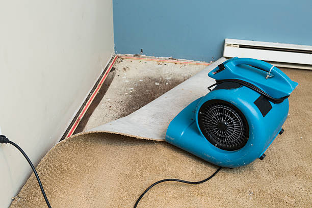 Best 24/7 water damage repair  in Granville South, OH